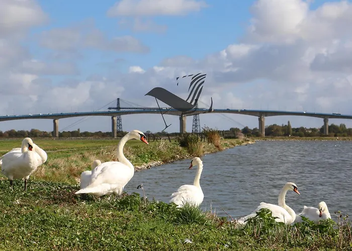 Le Moderne - Situe En Plein Centre-ville Lejlighed