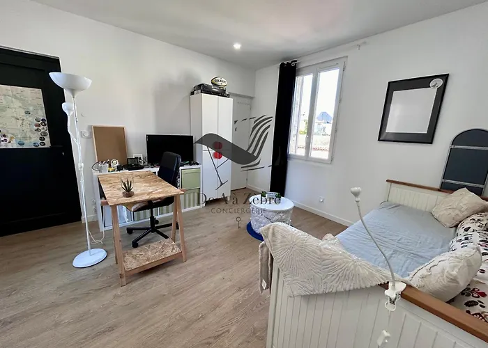 Lejlighed Le Moderne - Situe En Plein Centre-ville